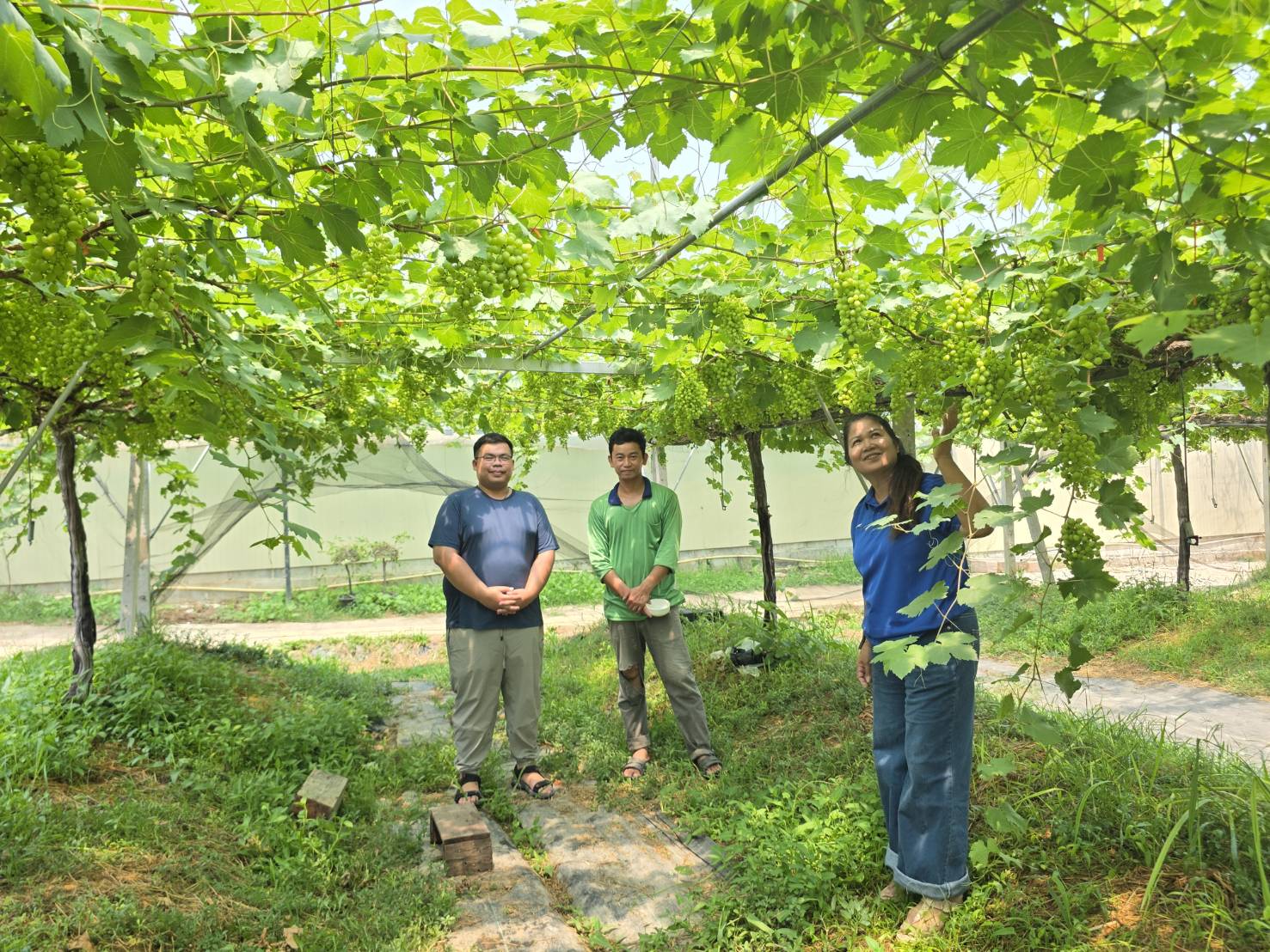 สพอ.เกษตรสมบูรณ์ : ลงพื้นที่ขับเคลื่อนเศรษฐกิจฐานราก ชูจุดแข็ง ”บ้านหนองแต้“ สู่หมู่บ้านท่องเที่ยวสร้างสรรค์ D-HOPE